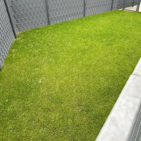 Will Travel And Relax Apartment Hallstadt